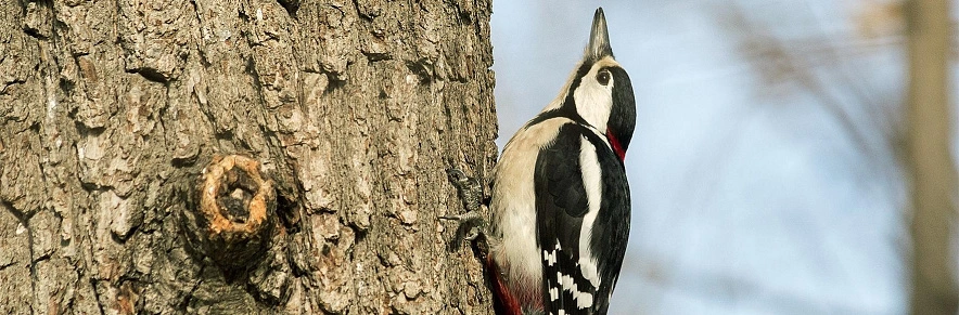 Фото: Маргарита Фомина 