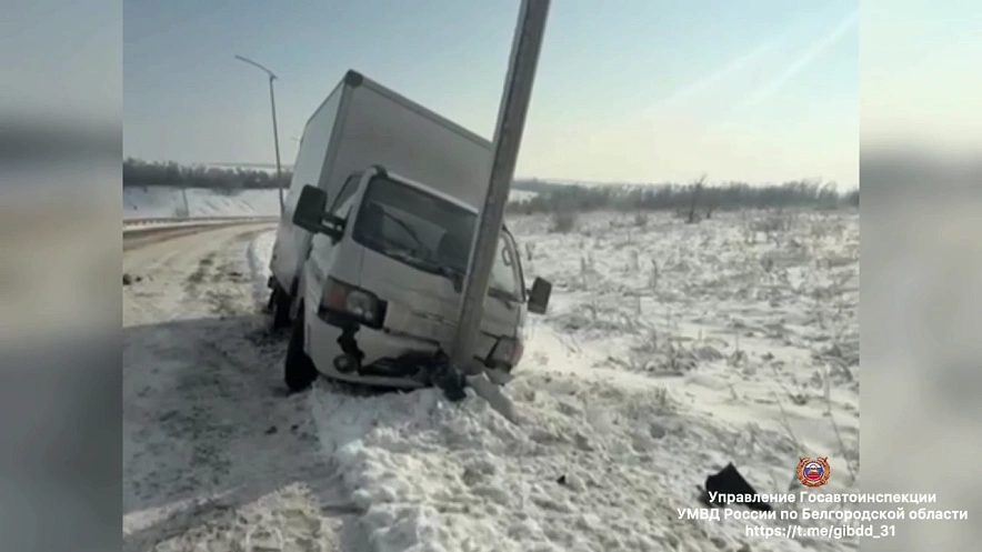 Фото: пресс-служба Госавтоинспекции Белгородской области