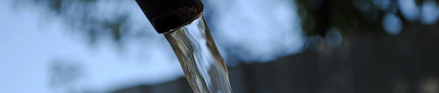 Фото: Сергей Егоров