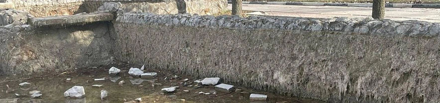 Фото: Людмила Лихолетова