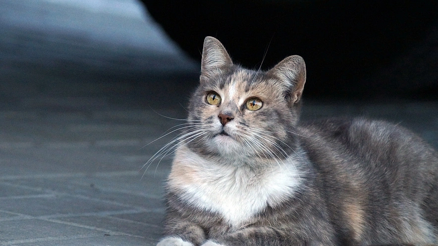 Фото: Сергей Егоров