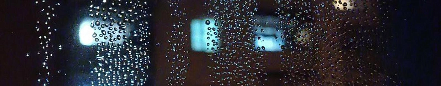 Фото: Дарья Егорова