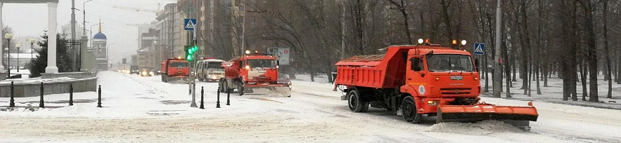 Фото: Сергей Егоров