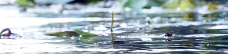 Фото: Сергей Егоров