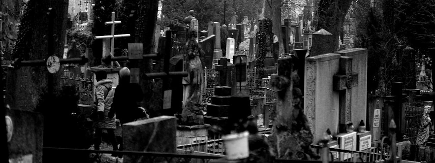 Фото: Сергей Егоров