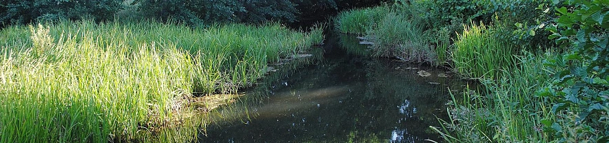 Фото: Сергей Егоров