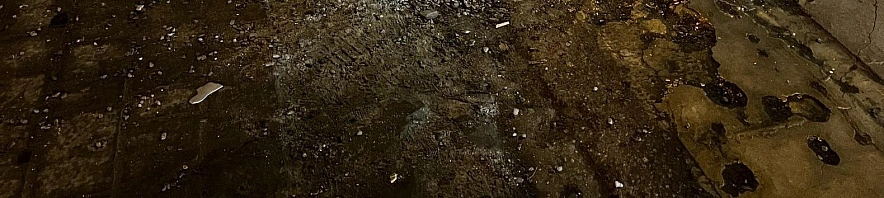 Фото: Анна Григор