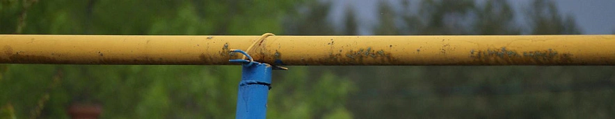 Фото: Сергей Егоров