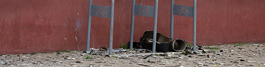 Фото: Мария Быкова