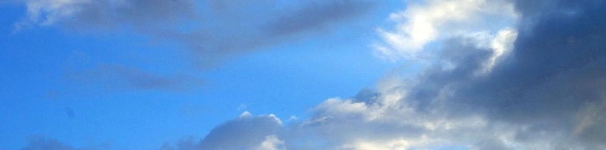 Фото: Сергей Егоров