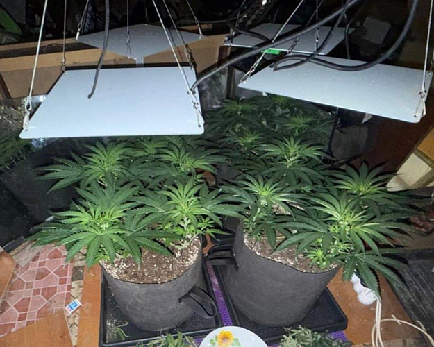 Фото: прокуратура Белгородской области 