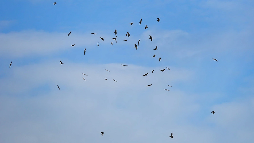 Фото: Антон Вергун