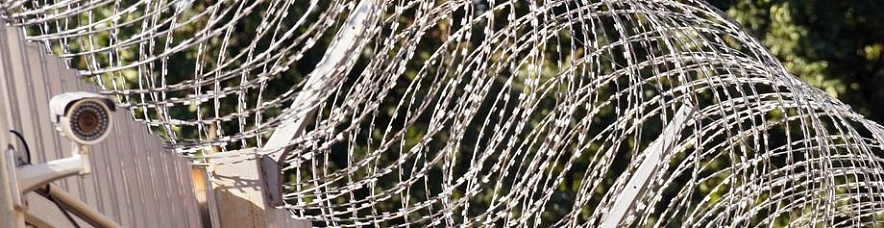 Фото: Сергей Егоров