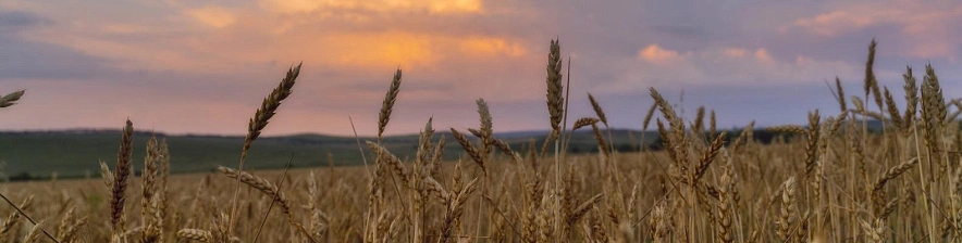 Фото: Юлия Мальцева