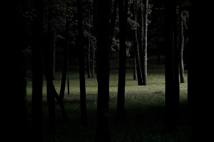 Фото: Сергей Егоров