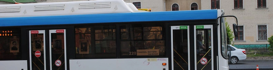 Фото: Анна Григор