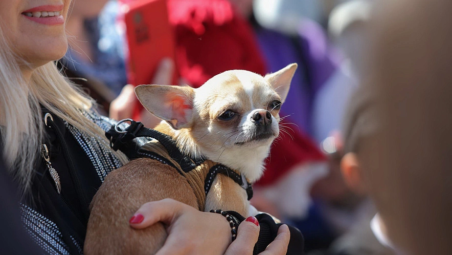 Фото: Антон Вергун