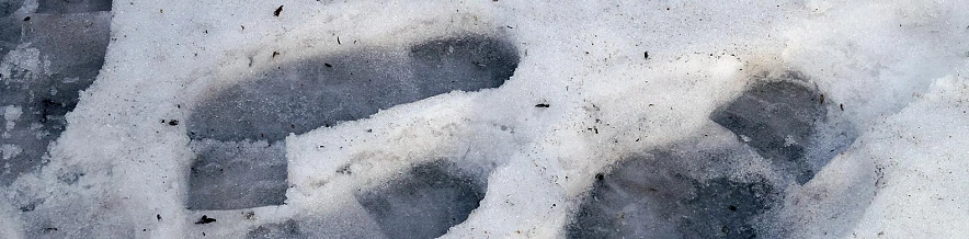 Фото: Сергей Егоров