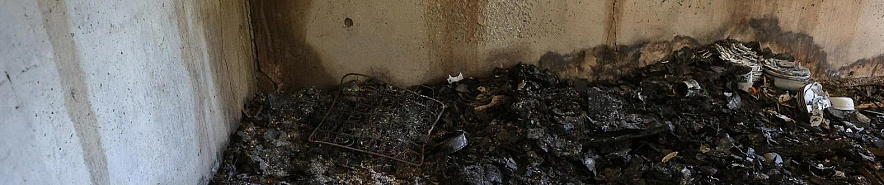 Фото: Антон Вергун