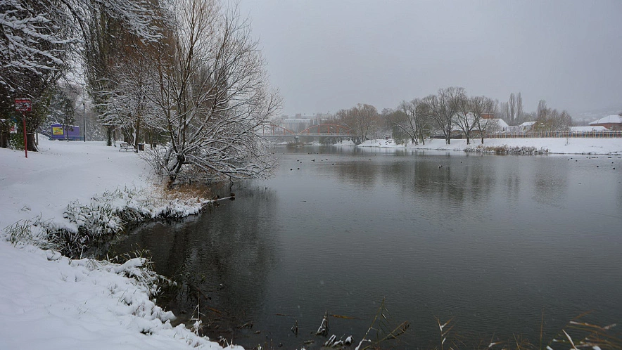 Фото: Антон Вергун