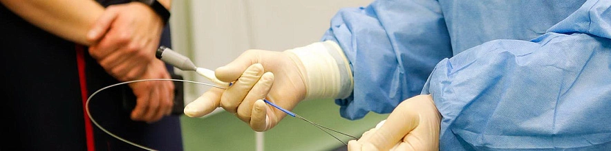 Фото: Антон Вергун