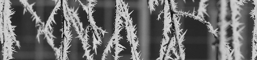 Фото: Сергей Егоров