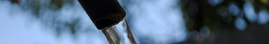 Фото: Сергей Егоров