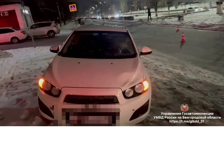 Фото: пресс-служба Госавтоинспекции Белгородской области