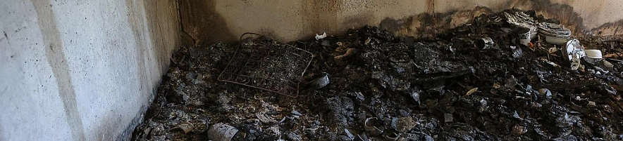 Фото: Антон Вергун