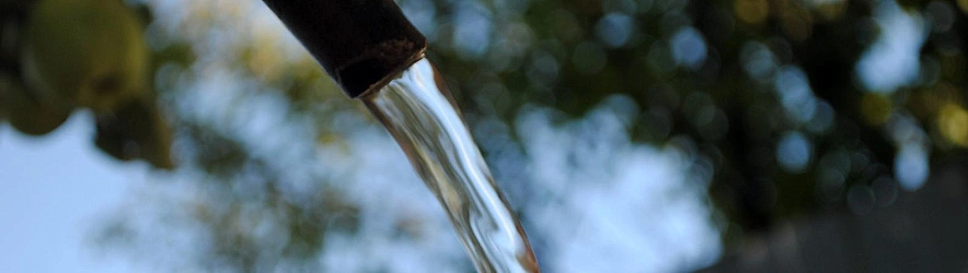 Фото: Сергей Егоров