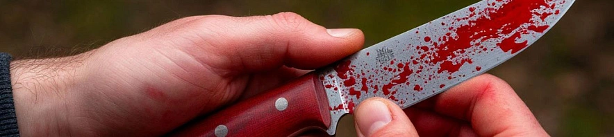 Фото: Шедеврум