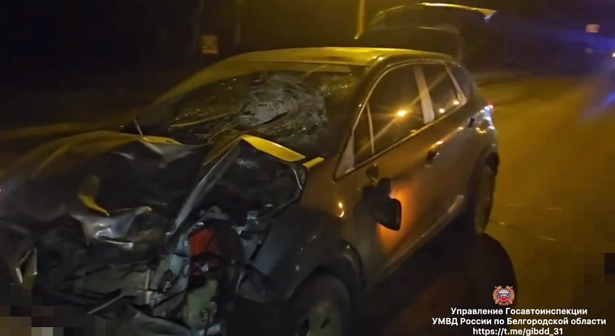Фото: Госавтоинспекция Белгородской области