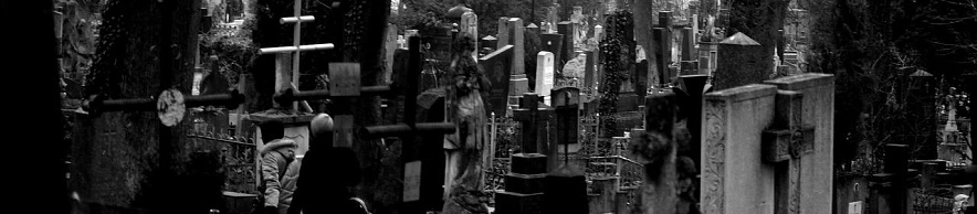 Фото: Сергей Егоров