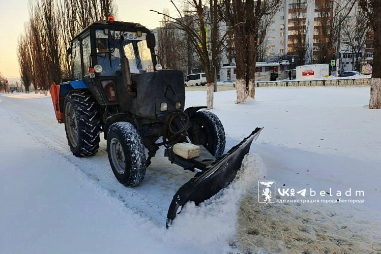 Фото: пресс-служба администрации Белгорода