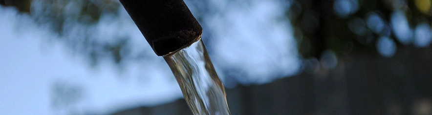 Фото: Сергей Егоров