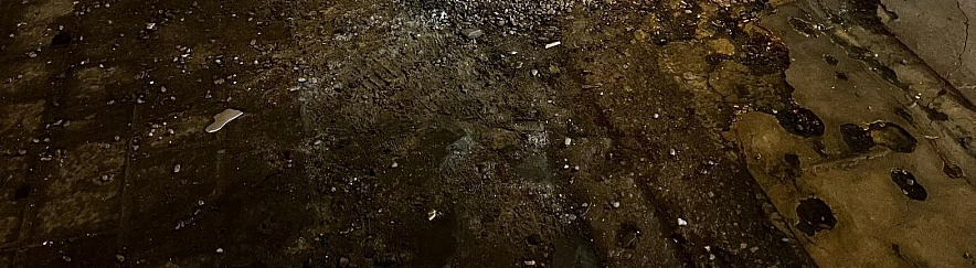 Фото: Анна Григор