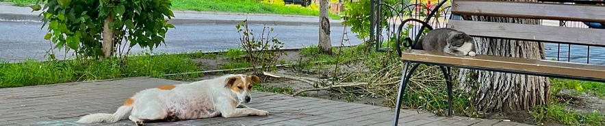 Фото: Анна Григор