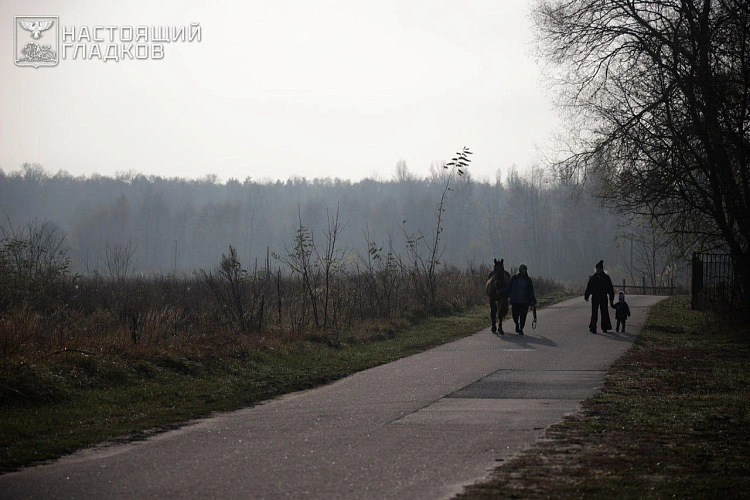 Фото: телеграм-канал Вячеслава Гладкова