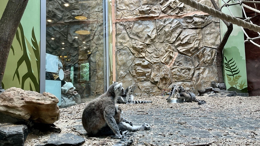 Фото: Анна Григор