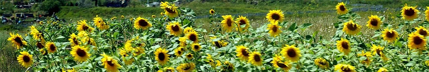 Фото: Сергей Егоров