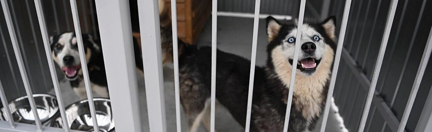 Фото: соцсети Валентина Демидова