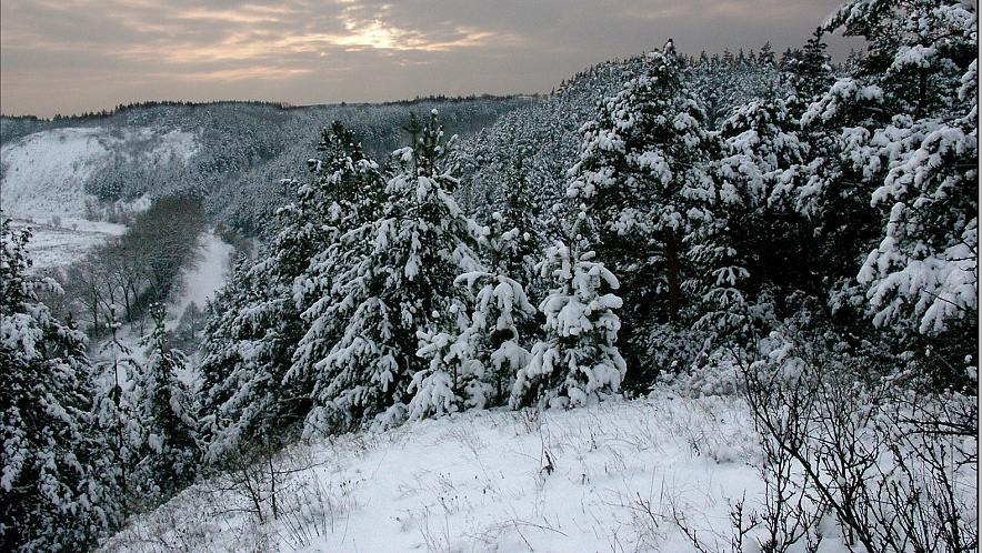 Фото: Владимир Щекалов