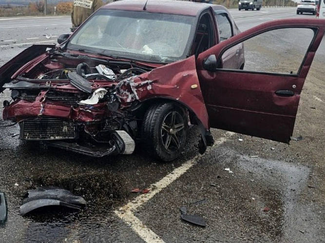 Фото: УМВД Белгородской области