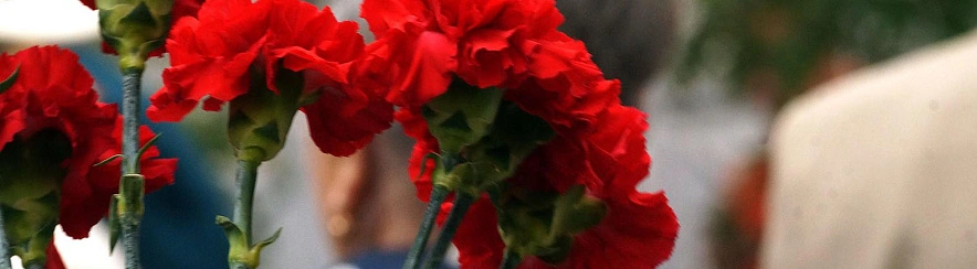 Фото: Сергей Егоров