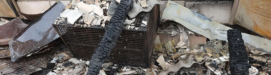 Фото: Антон Вергун, архив