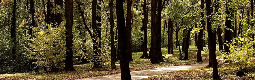 Фото: Сергей Егоров