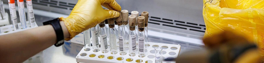 Фото: Антон Вергун