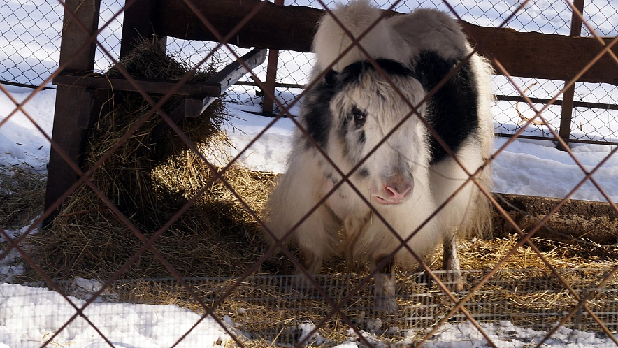 Фото: Сергей Егоров