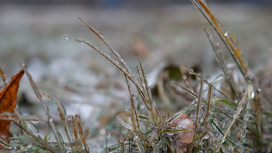 Фото: Антон Вергун