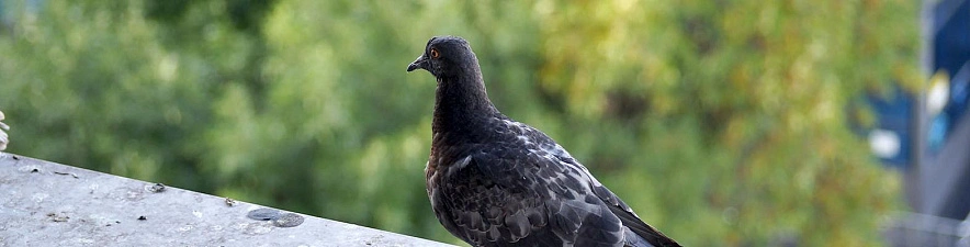 Фото: Сергей Кудрин